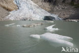 Jostedalsbreen National Park