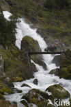 Nationaal Park Jostedalsbreen