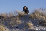 Nationaal Park Oosterschelde