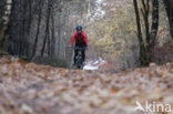 Nationaal park Utrechtse Heuvelrug