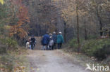 Nationaal park Utrechtse Heuvelrug