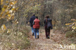 Nationaal park Utrechtse Heuvelrug