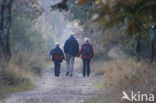 Nationaal park Utrechtse Heuvelrug