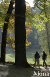 National Park Veluwezoom