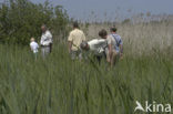 National Park Weerribben-Wieden