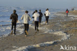 Noordzee