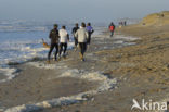 Noordzee