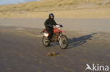 Northsea beach