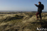 Schoorlse Duinen