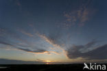 Texel
