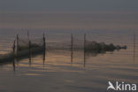 Waddenzee