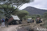 Amboseli National Park