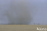 Amboseli National Park