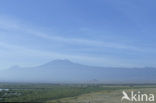Amboseli National Park