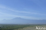 Amboseli National Park