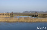 Haven Emmeloord