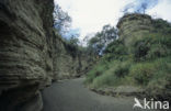 Hell’s Gate National park