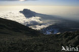 Kilimanjaro
