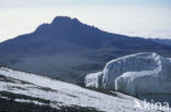 Kilimanjaro