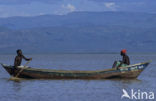 Lake Baringo