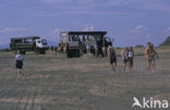 Lake Bogoria National Reserve