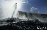 Lake Bogoria National Reserve