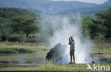 Lake Bogoria National Reserve