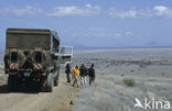 Lake Turkana National Park