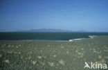 Lake Turkana National Park