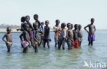 Lake Turkana National Park