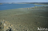 Lake Turkana National Park