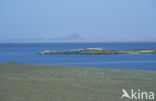 Lake Turkana National Park