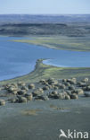 Lake Turkana National Park