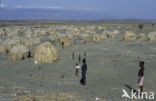 Lake Turkana National Park