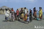 Lake Turkana National Park