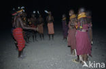 Lake Turkana National Park