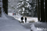 Landgoed de Slotplaats