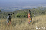 Magadi