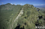 Mount Longonot National Park