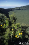 Mount Longonot National Park