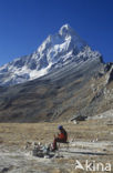 Mount Shivling