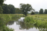 Nationaal beek- en esdorpenlandschap Drentsche Aa