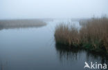 National Park De Alde Feanen