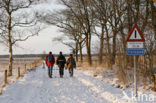 National Park Drents-Friese Wold