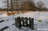 Nationaal Park Drents-Friese Wold