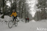 Nationaal Park Drents-Friese Wold