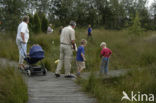 National Park Dwingelderveld