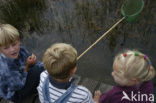 Nationaal Park Dwingelderveld