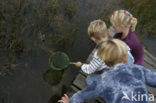 Nationaal Park Dwingelderveld