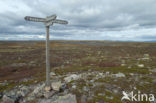 Nationaal Park Fulufjället